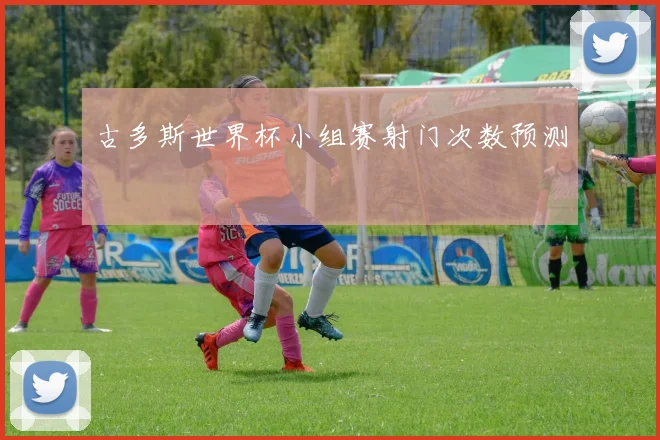 古多斯世界杯小组赛射门次数预测